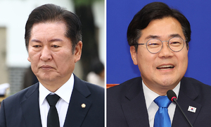 민주 차기 당대표에 ‘제3후보’ 출마설