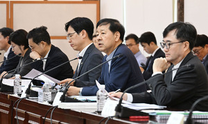 정부 