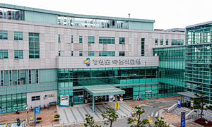 전공의 복귀 수도권 얘기일 뿐… 지방 의사는 ‘만년공백’ 