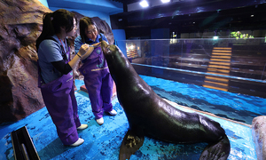 화려한 수조 뒤에 가려진 땀과 노력… 도심 한복판서 ‘바다 축소판’ 경험하다