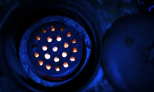 3.65㎏ 작은 몸으로… 36.5도 사람에 온기… 365일 뜨겁게 활활