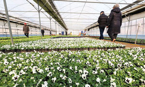 긴 한파의 끝…주말까지 춥다가 다음주 평년기온 회복