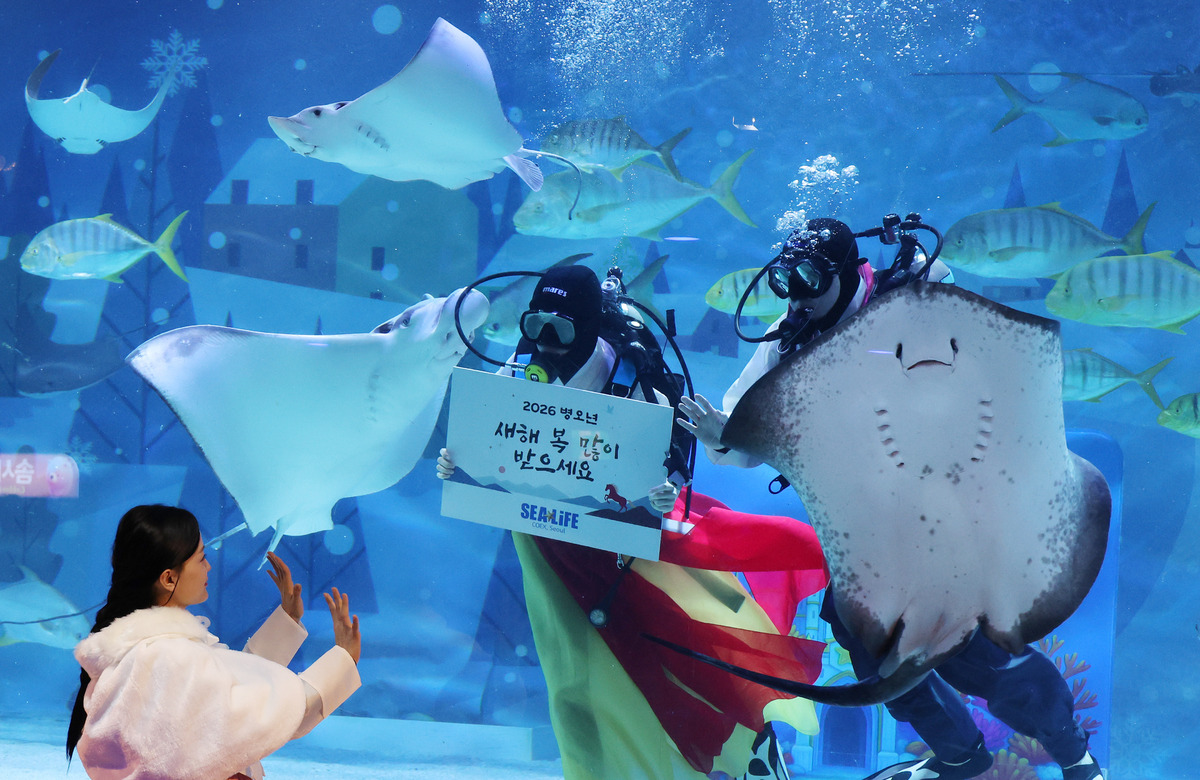 설 연휴를 앞둔 10일 서울 강남구 삼성동 씨라이프 코엑스 아쿠아리움에서 한복을 차려 입은 아쿠아리스트들이 새해 인사를 전하고 있다. 씨라이프 코엑스 아쿠아리움은 설 연휴를 맞아 온 가족이 함께 즐길 수 있는 다채로운 프로그램을 통해 관람객들에게 바닷속에서만 만날 수 있는 색다른 설날 추억을 선사할 예정이다. 이제원 선임기자