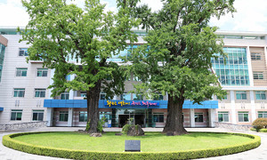 ‘DB·콘텐츠 결합’ 민간 플랫폼 해법 주목 [심층기획-2026 빈집 리포트]