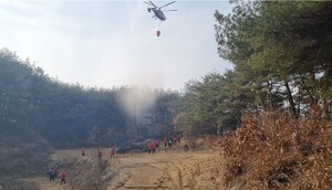 안동 산불 43분 만에 진화…입산자 실화 추정