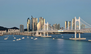 표심 56%가 “지역 활성화”… 시장 자질은 ‘성과 기대감’ 1순위 [6·3 지방선거 민심지도]