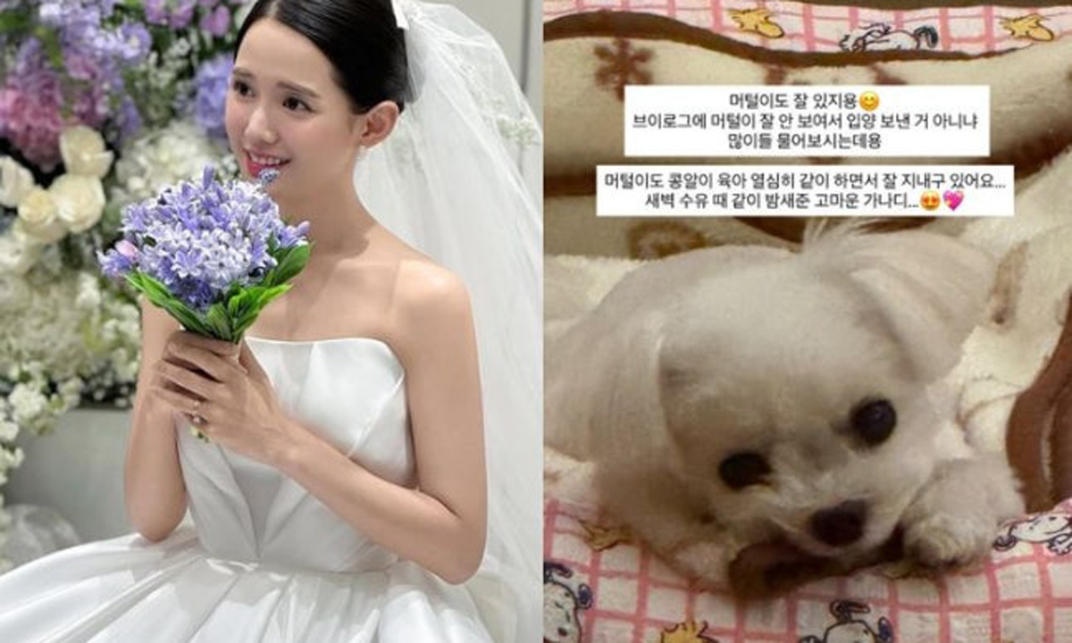 남보라, 출산 후 반려견 파양설 해명
